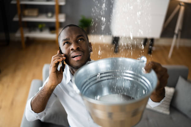 Best Flood restoration services  in Onalaska, TX
