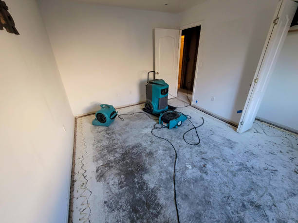 Best Commercial water damage restoration  in Onalaska, TX