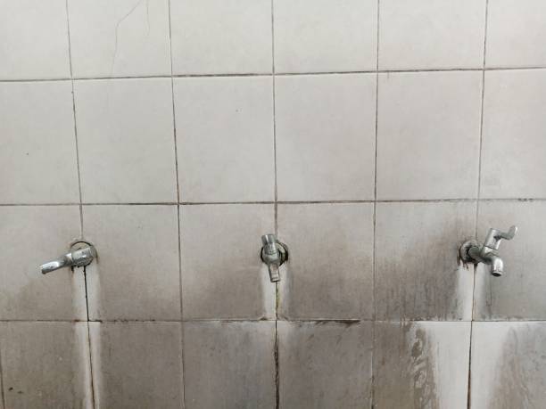 Best 24/7 water damage repair  in Onalaska, TX