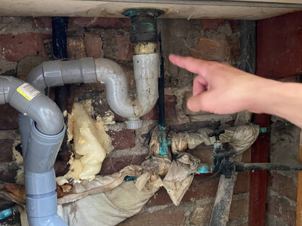Best Carpet water damage restoration  in Onalaska, TX